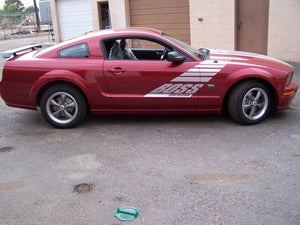 Boss Shinoda Vibe Stripe Style Passenger Door decal  2005 -2009