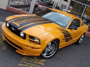 Boss Shinoda Vibe Srripe Style Decal package 2005 -2009