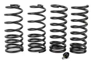 1999-2004 Boss Shinoda Convertible Street Spring Kit by Eibach