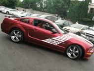 Boss Shinoda Vibe Stripe Style Passenger Door decal  2005 -2009