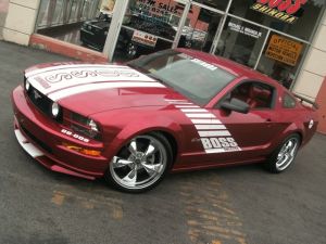 Boss Shinoda Vibe Srripe Style Decal package 2005 -2009