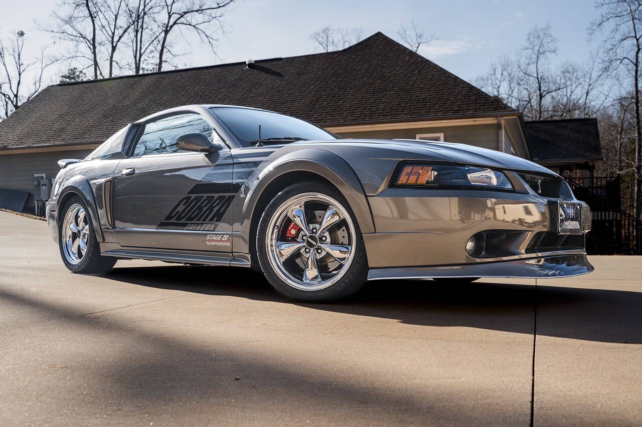 1999 and 2001 Cobra Chin Spoiler
