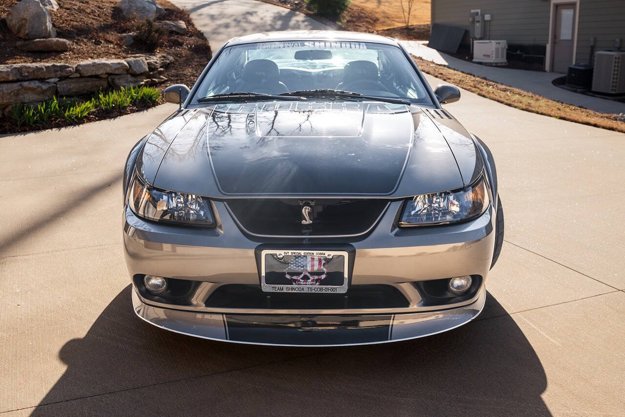 1999 and 2001 Cobra Chin Spoiler