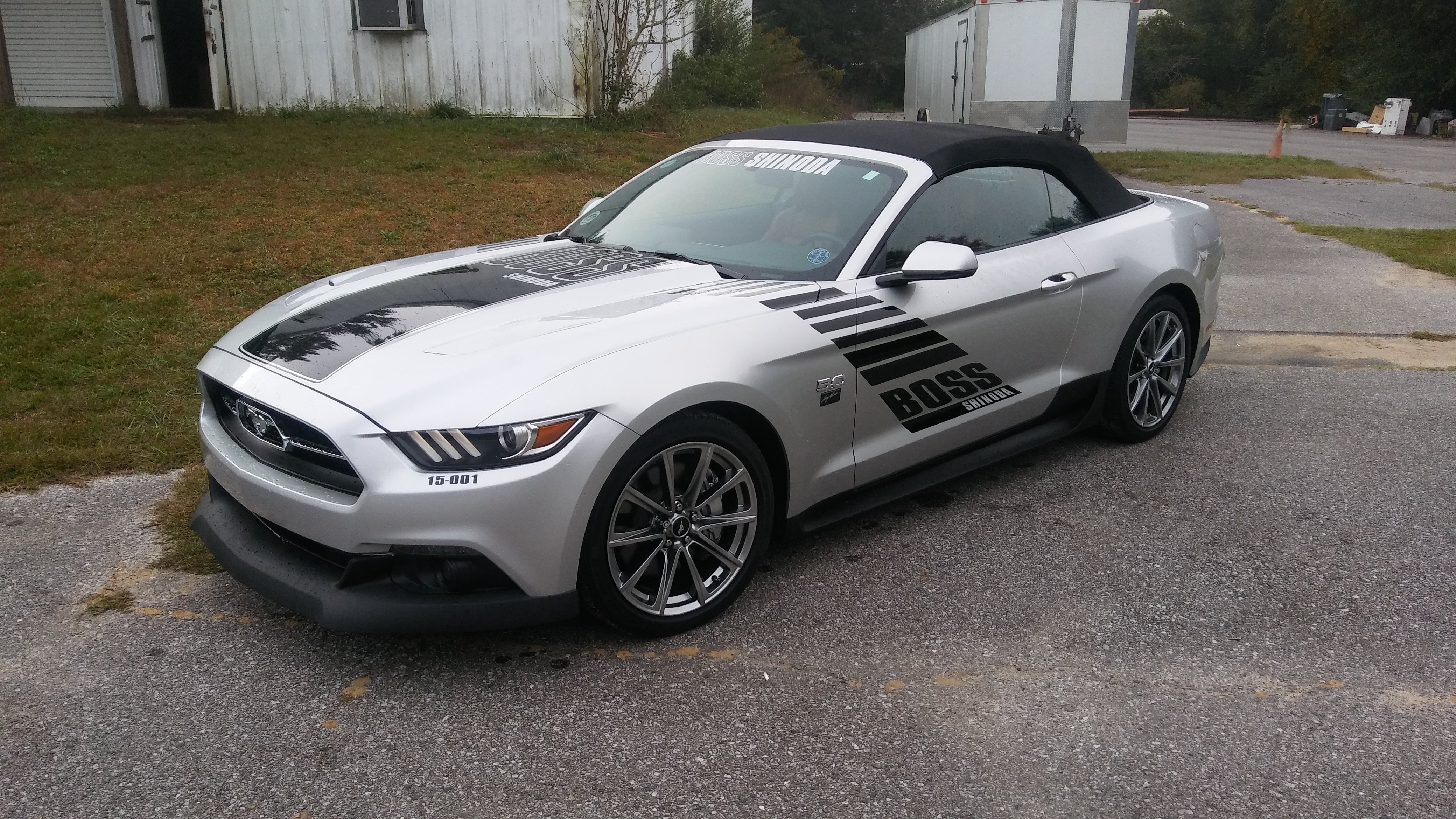 Boss Shinoda Vibe Stripe Drivers Side Decal 2018 -2023