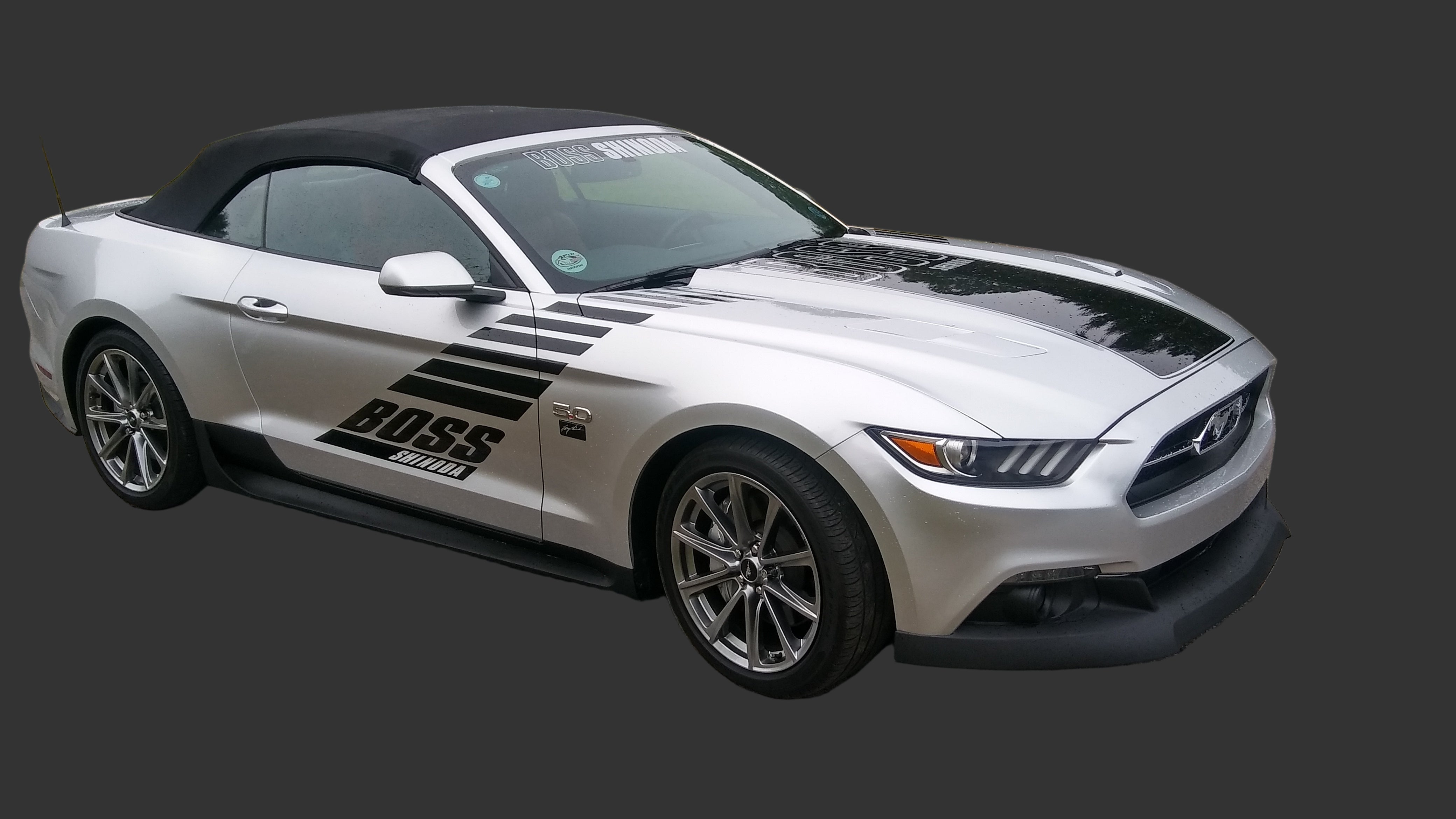 Boss Shinoda Chin Spoiler 2015 -2017