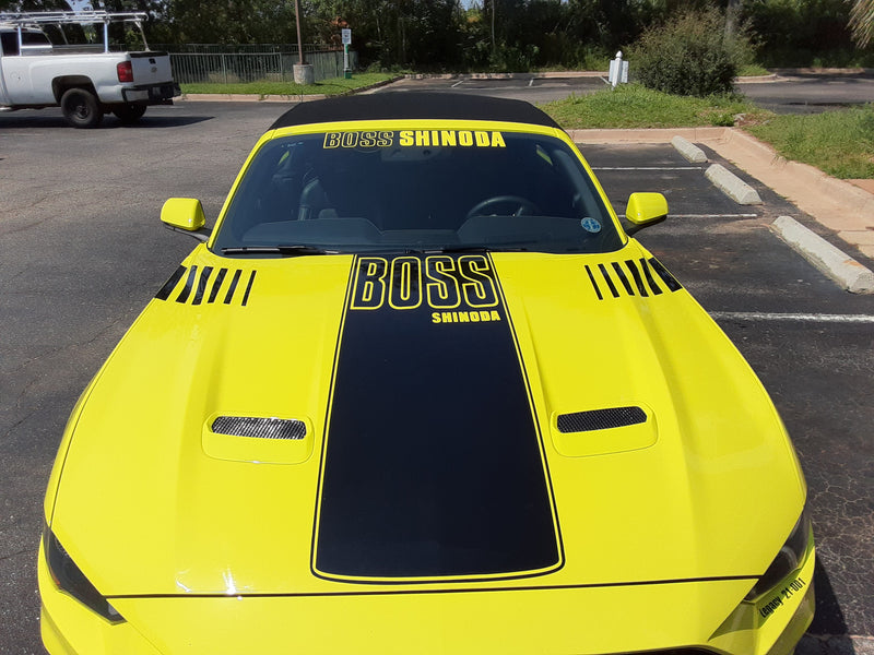 Boss Shinoda Vibe Stripe Decal package 2018 to 2023 Mustangs (Copy)