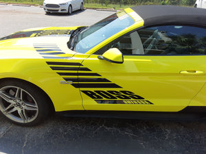 Boss Shinoda Vibe Stripe Drivers Side Decal 2018 -2023