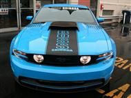 Boss Shinoda Vibe Stripe Style Window Banner decal 2010-2014