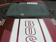 Boss Shinoda Vibe Srripe Style Decal package 2005 -2009