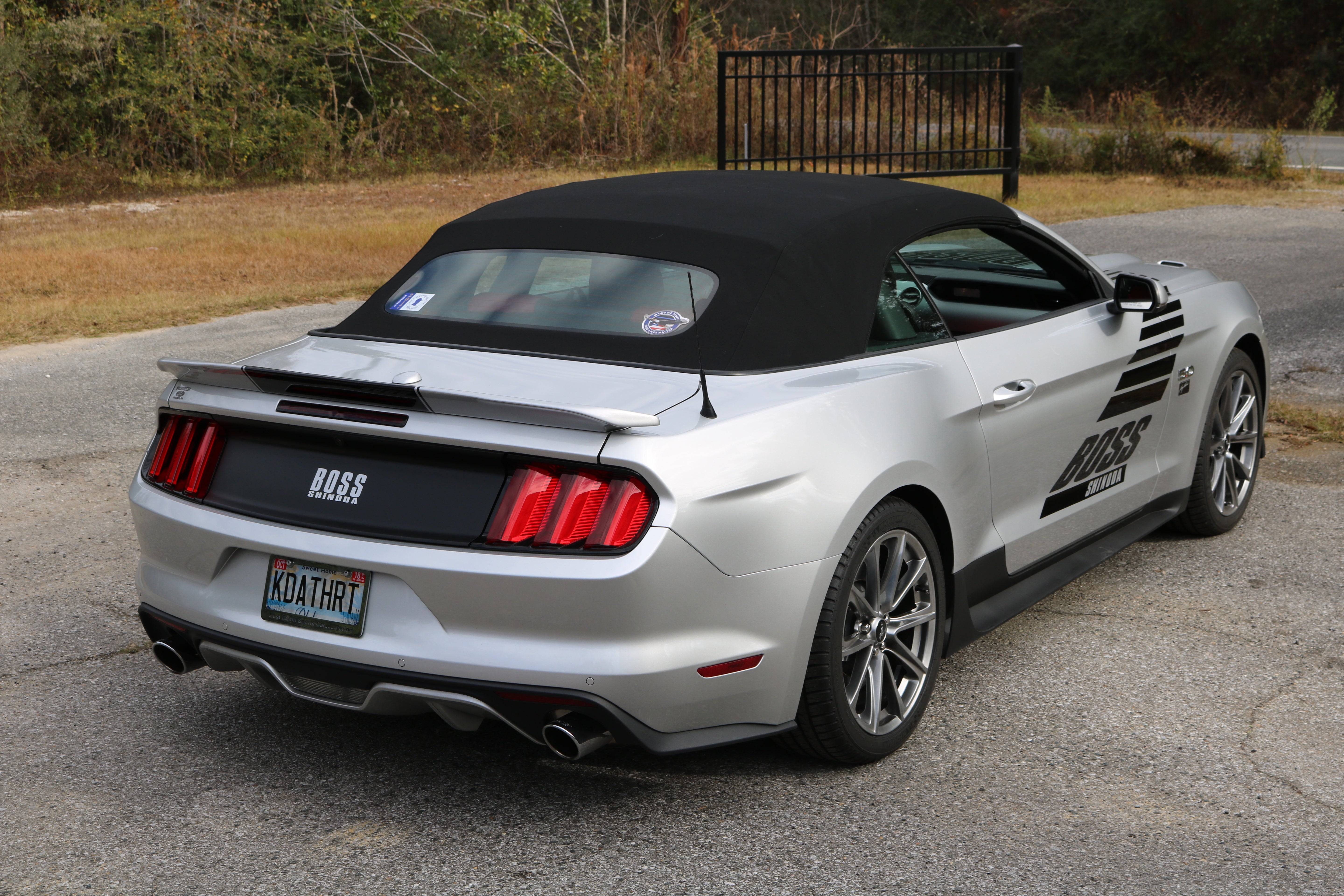 Boss Shinoda Vibe Stripe Rear Bumper Decal 2015 and up