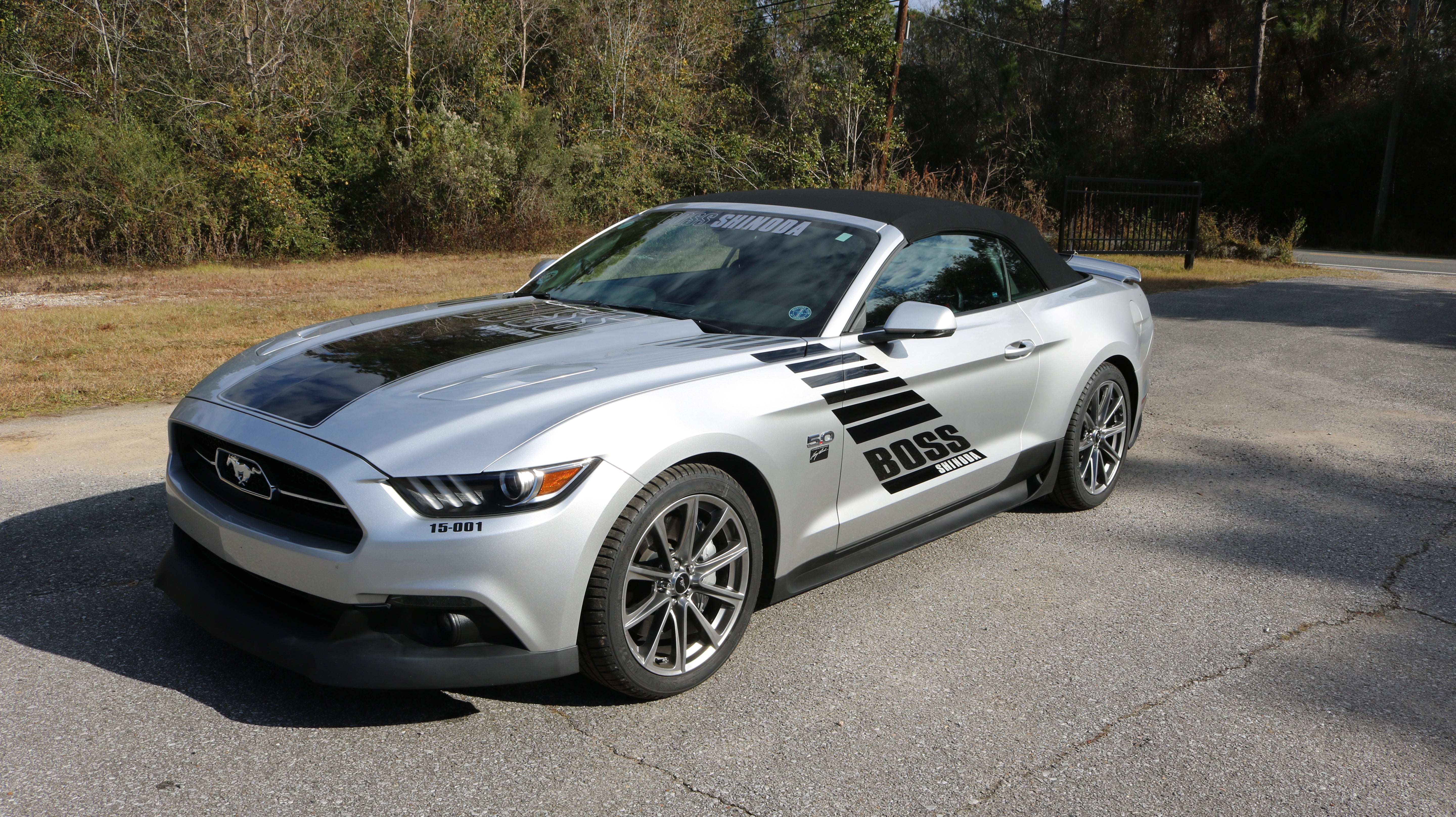 Boss Shinoda Vibe Stripe Drivers Side Decal 2018 -2023