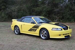 Boss Shinoda 99-04 Passenger Door Decal