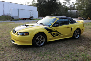 Boss Shinoda 99-04 Drivers Door Decal