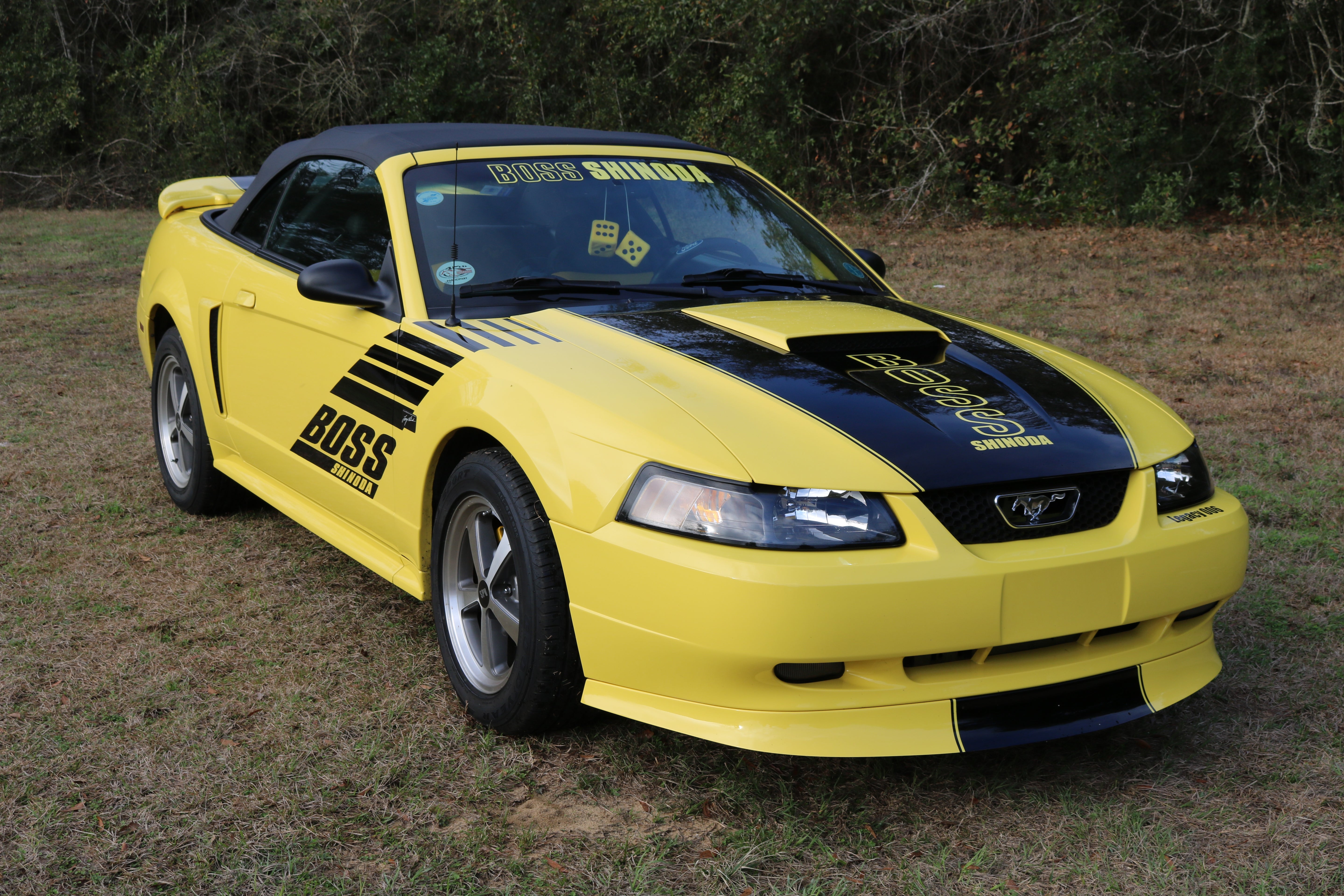 Boss Shinoda 99-04 gt hood decal