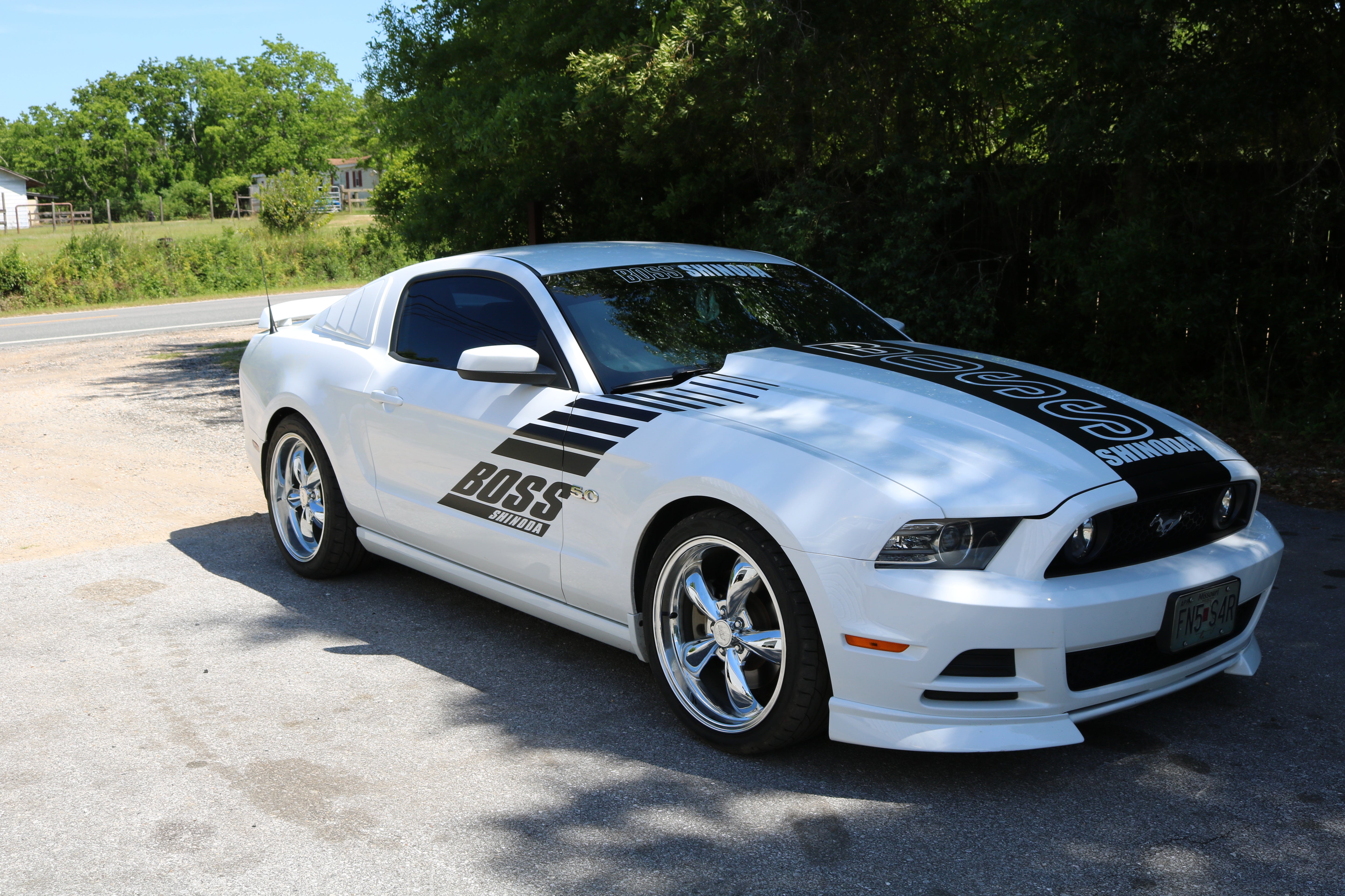 Boss Shinoda Vibe Stripe Style Passenger door decal 2010-2014