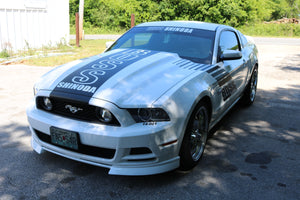 Boss Shinoda Vibe Srripe Style Decal package 2010-2014