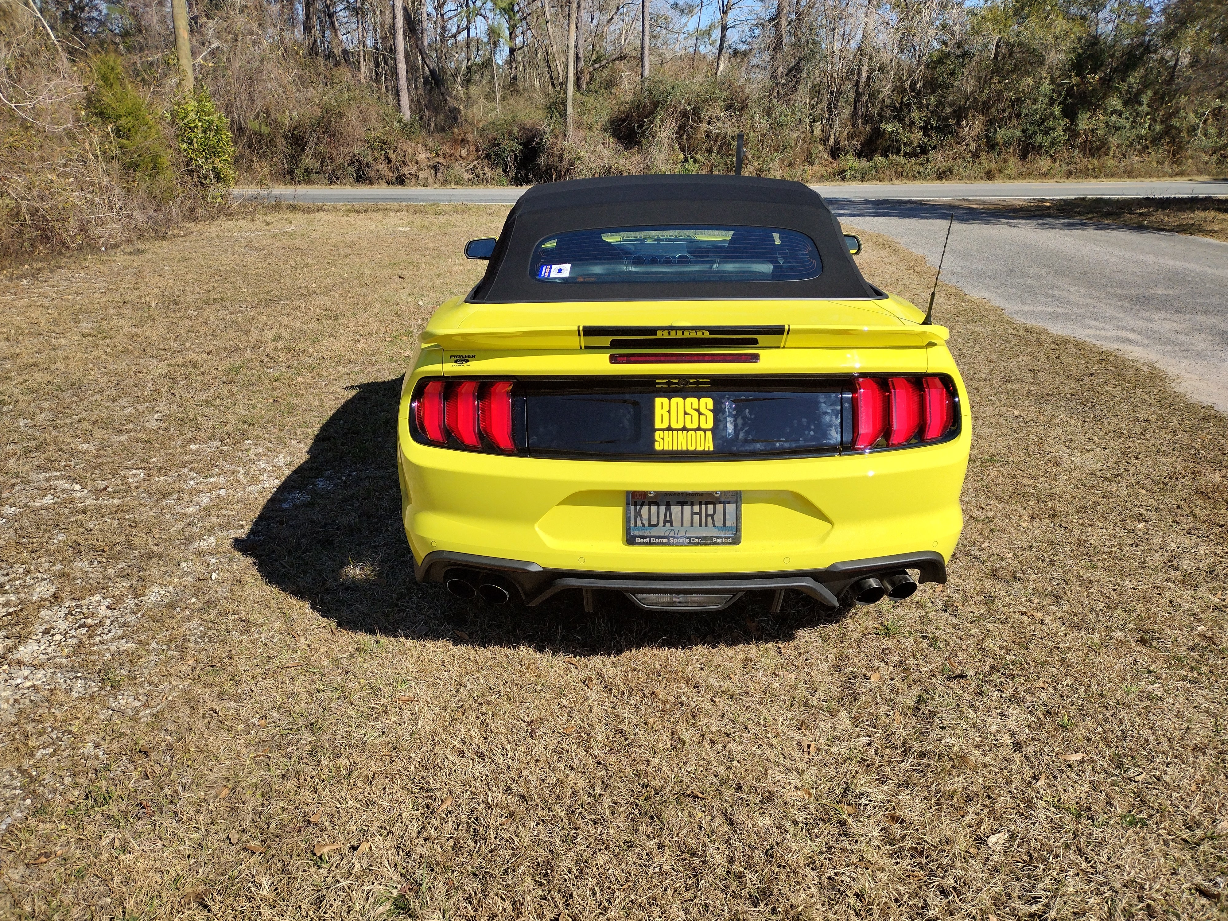 Boss Shinoda Vibe Stripe Decal package 2018 to 2023 Mustangs (Copy)