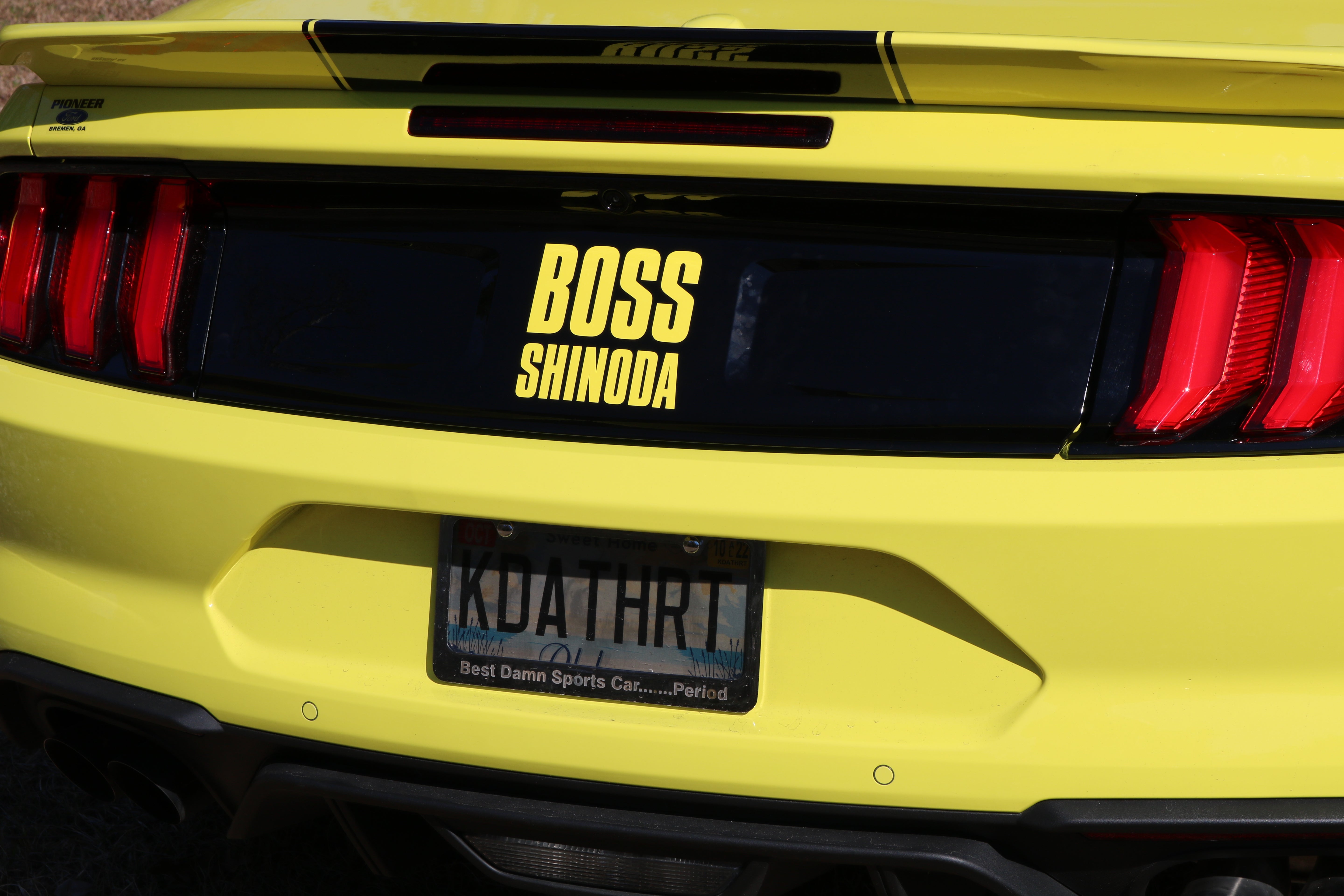 Boss Shinoda Vibe Stripe Decal package 2018 to 2023 Mustangs (Copy)