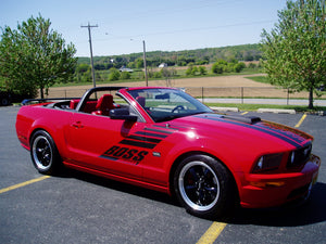 Boss Shinoda Vibe Stripe Style Passenger Door decal  2005 -2009