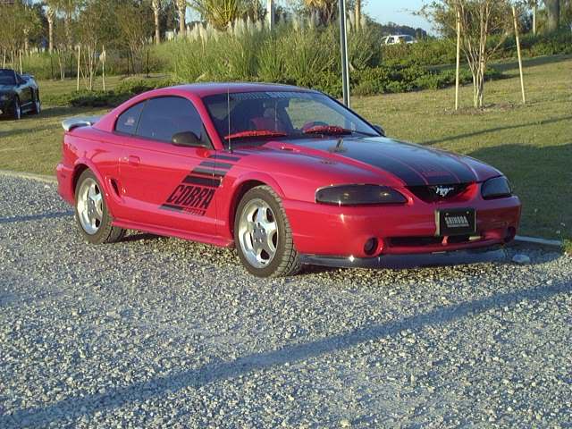 94-98 Cobra Shinoda Decal Package