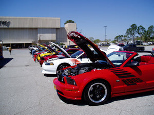 Boss Shinoda Vibe Stripe Style Drivers Door decal  2005 -2009