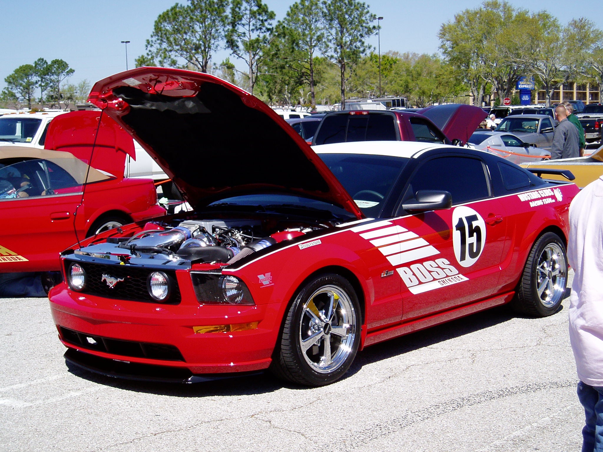 Boss Shinoda Vibe Stripe Style Drivers Door decal  2005 -2009