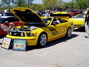 Boss Shinoda Vibe Stripe Style Drivers Door decal  2005 -2009