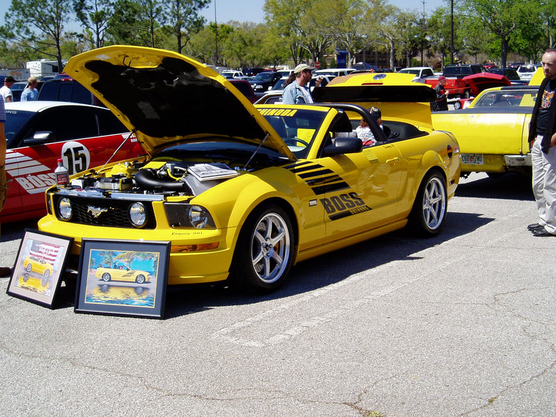 Boss Shinoda Vibe Stripe Style Drivers Door decal  2005 -2009