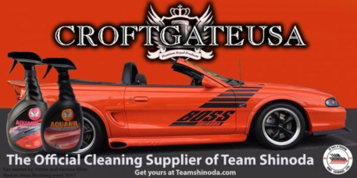 2017 Shinoda/Croftgate Banner 36 x 24