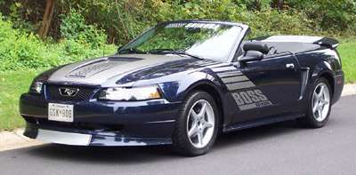 Boss Shinoda 99-04 Drivers Door Decal