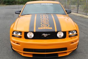 Boss Shinoda Vibe Srripe Style Decal package 2005 -2009