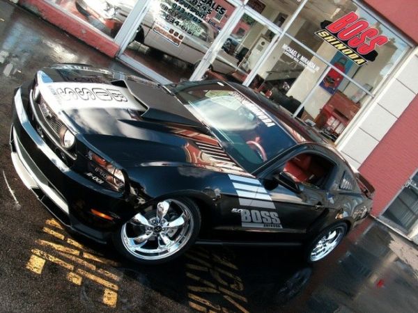 Boss Shinoda Vibe Stripe Style Window Banner decal 2010-2014